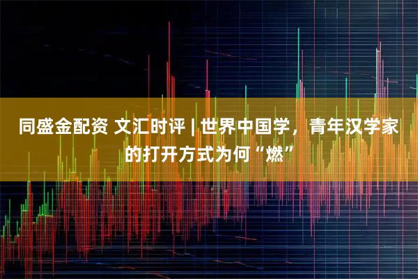 同盛金配资 文汇时评 | 世界中国学，青年汉学家的打开方式为何“燃”