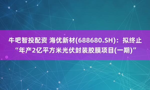 牛吧智投配资 海优新材(688680.SH)：拟终止“年产2亿平方米光伏封装胶膜项目(一期)”